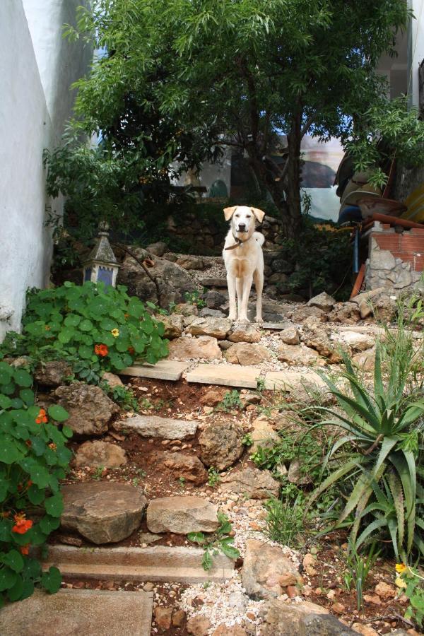 On The Hill Hostal Raposeira (Faro)