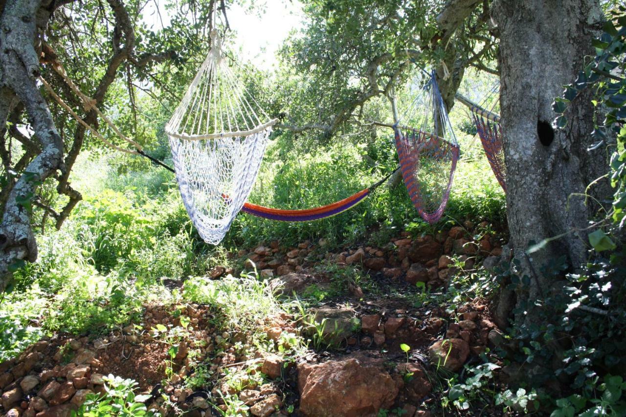 On The Hill Hostal *